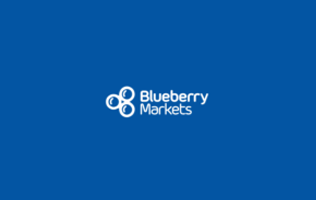 Blueberry Markets logo